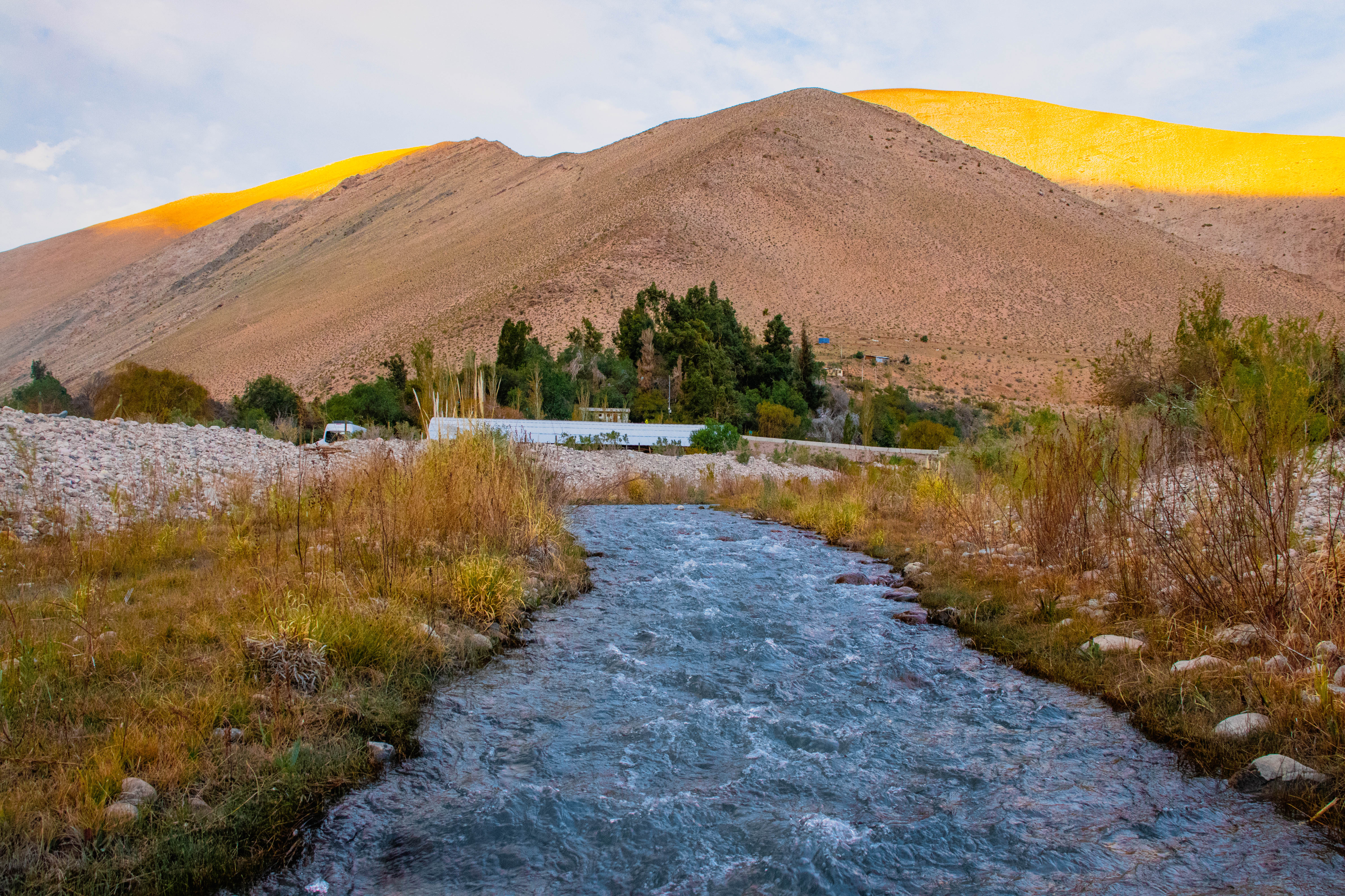 Imagen de Proyecto de Valores de la Naturaleza entrega resultados a la comunidad